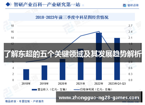 了解东超的五个关键领域及其发展趋势解析