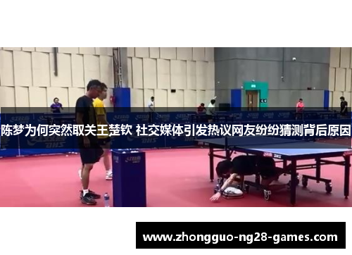 陈梦为何突然取关王楚钦 社交媒体引发热议网友纷纷猜测背后原因