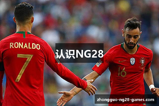 认识NG28